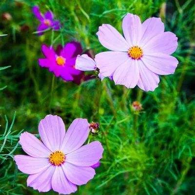 ayx体育在线登录app下载