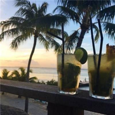 狗万manbet手机app下载