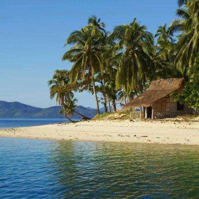 ayx体育在线登录app下载截图